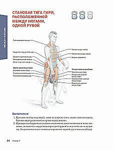Spēka treniņu anatomija ar kettlebell