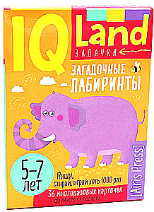 IQ Daudzreiz lietojamas kartītes ar marķieri. 5+ Noslēpumainie labirinti