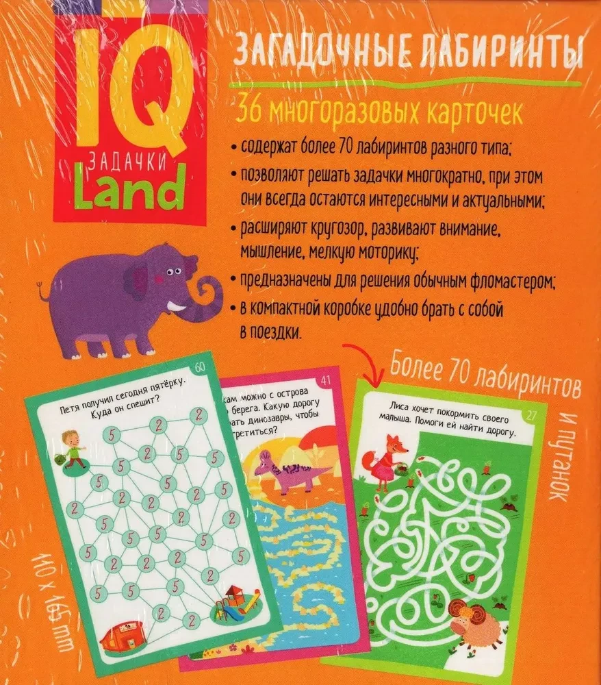 IQ Daudzreiz lietojamas kartītes ar marķieri. 5+ Noslēpumainie labirinti