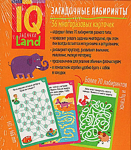 IQ Daudzreiz lietojamas kartītes ar marķieri. 5+ Noslēpumainie labirinti