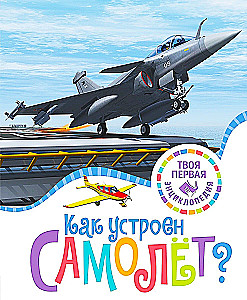 Kā ir iekārtota lidmašīna?