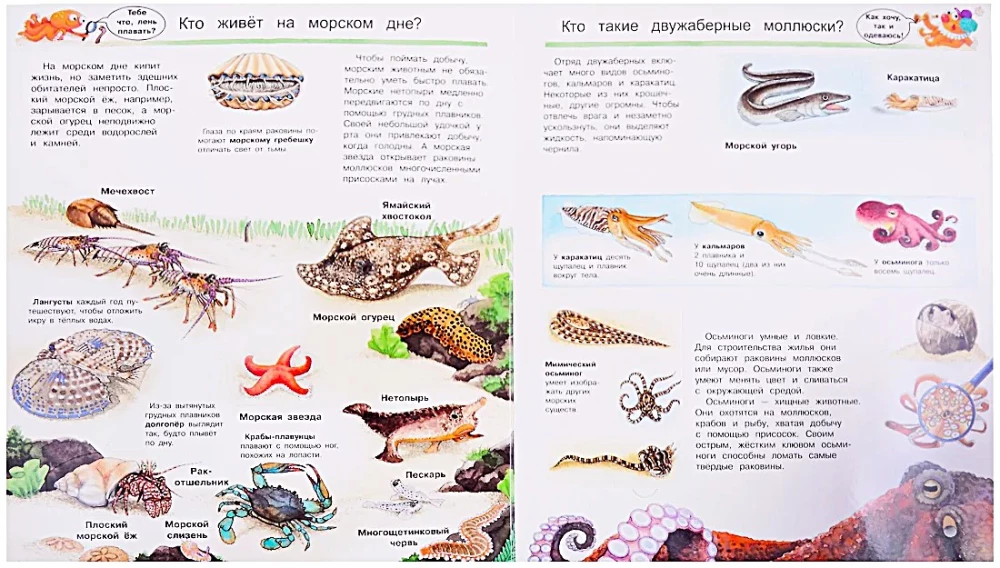 Kas? Kāpēc? Kādēļ? Jūras dzīvnieku pasaule. Ar burvīgām logiem