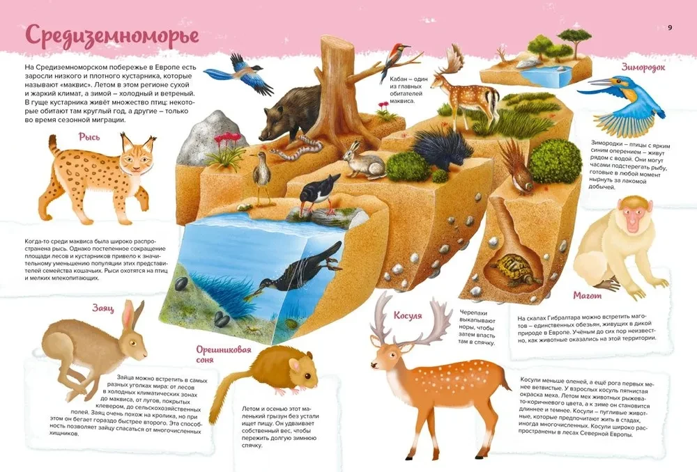 Животные. Мой первый атлас в картинках