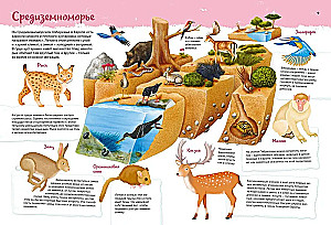 Животные. Мой первый атлас в картинках