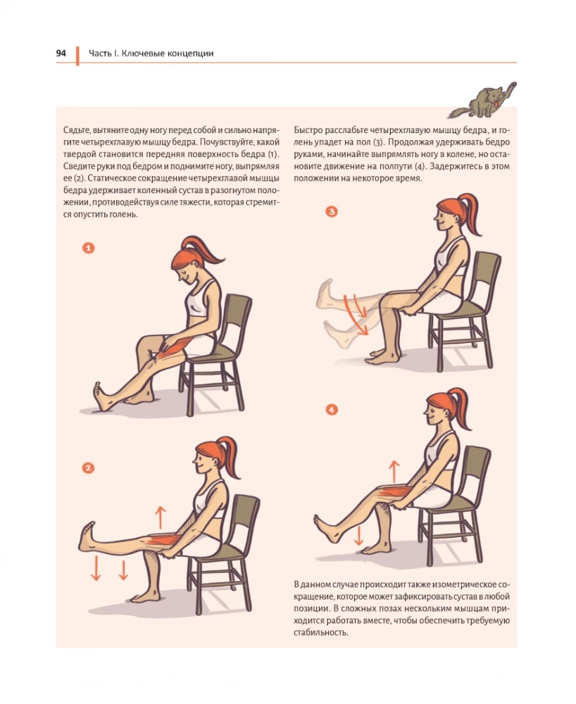 Jogas anatomija vienkāršiem vārdiem. Ilustrēts ceļvedis par vingrinājumiem un asānām