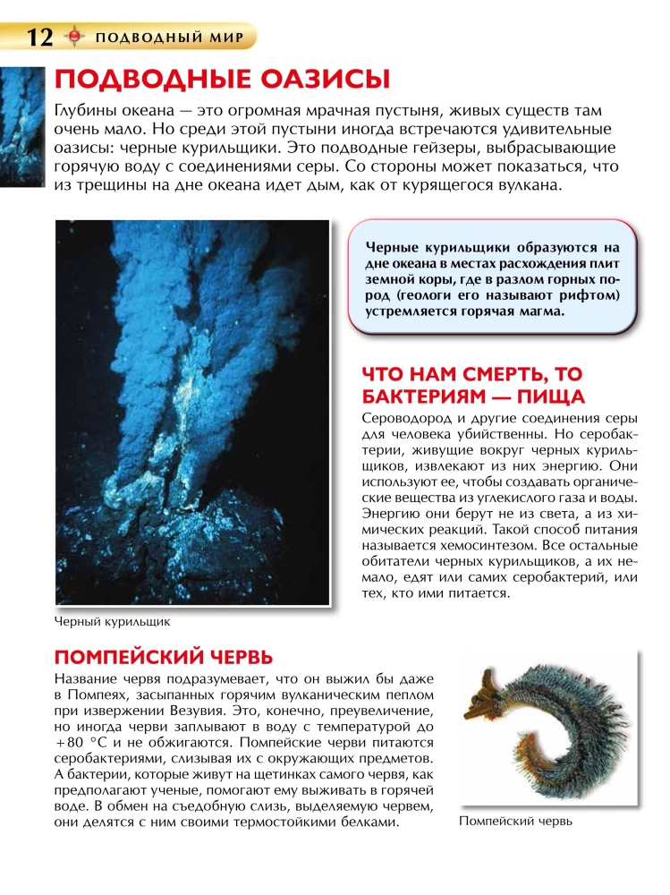 Подводный мир. Детская энциклопедия