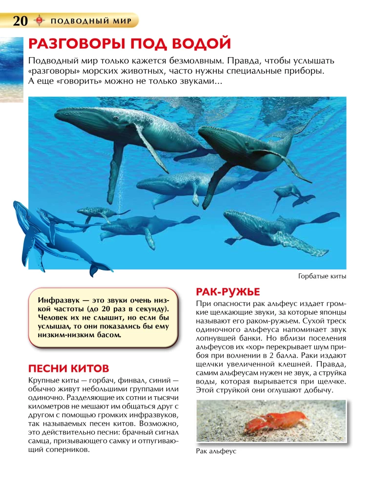 Подводный мир. Детская энциклопедия