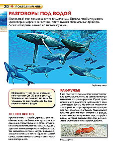 Подводный мир. Детская энциклопедия