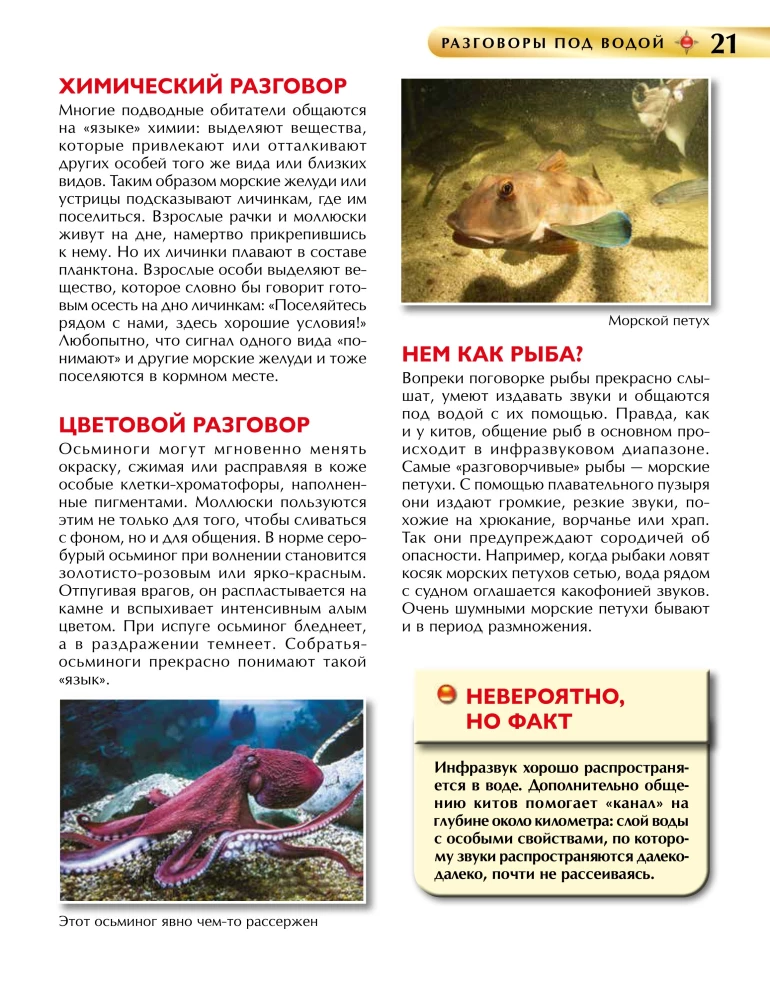 Подводный мир. Детская энциклопедия