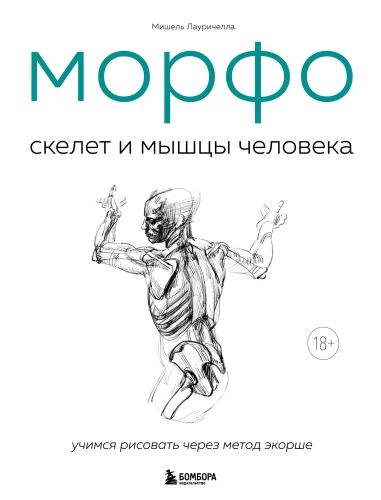MORFO. Cilvēka skelets un muskuļi. Anatomija māksliniekiem