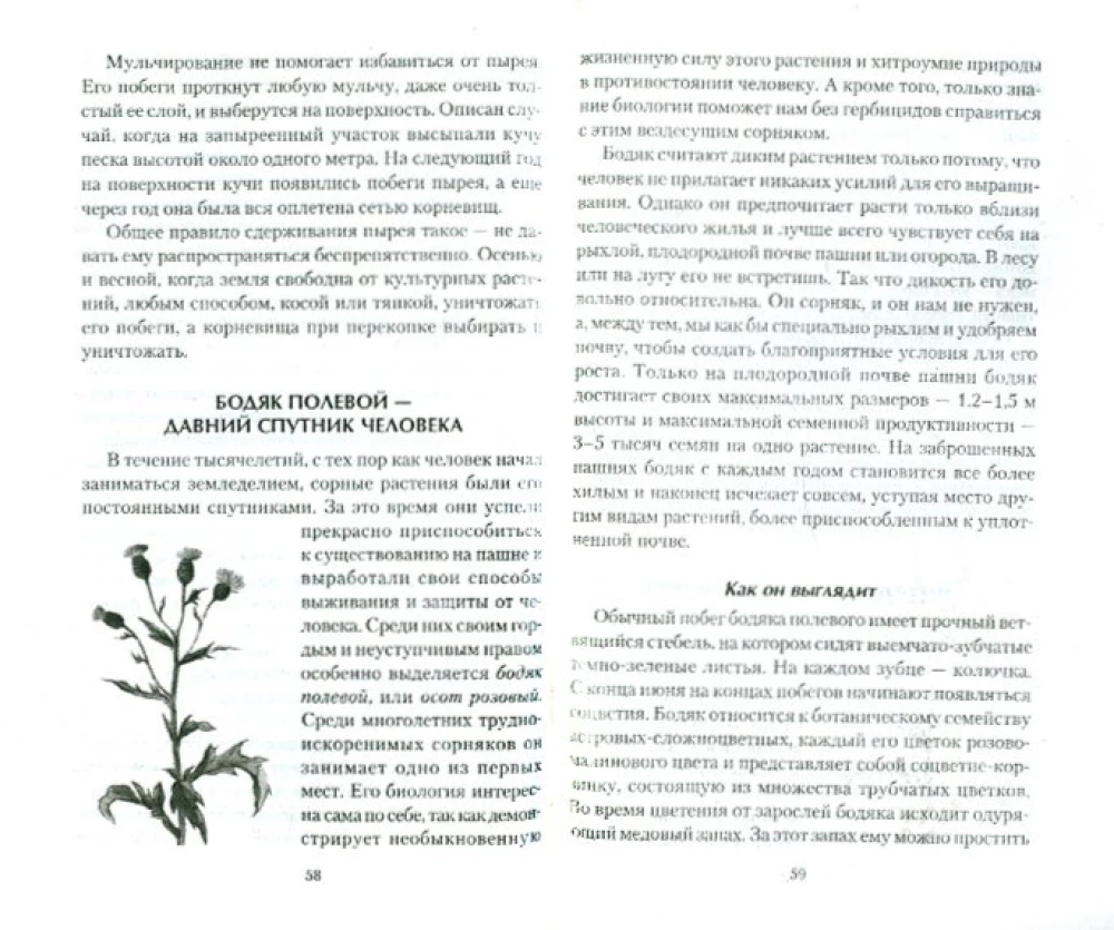 Kaitniecības dārzā. Bioloģija, labums, kontrole