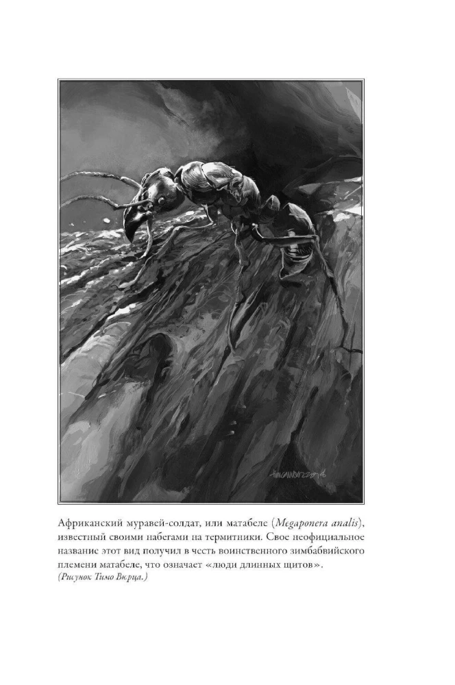 Планета муравьёв