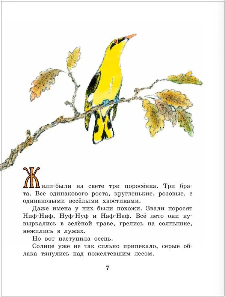 Весёлые зайцы