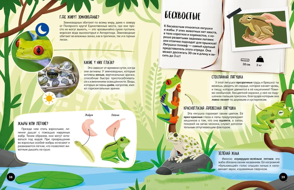 Kas? Kā? Kāpēc? Mani pirmie zināšanas par DZĪVIEŠIEM