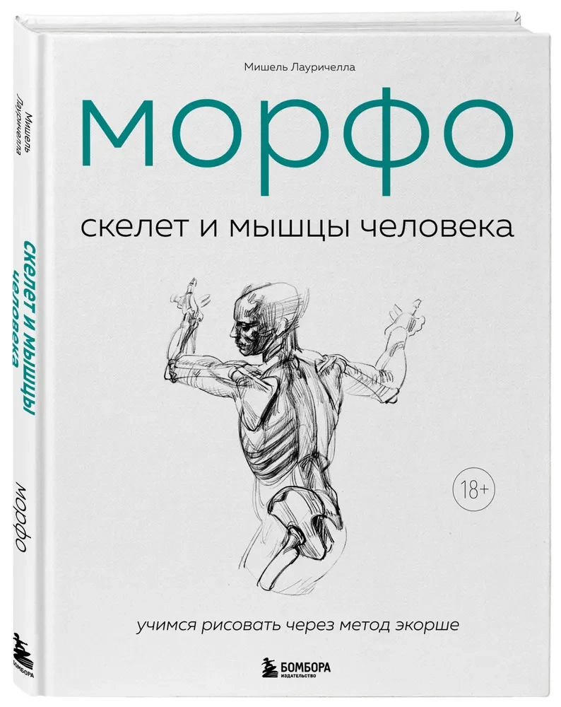 MORFO. Cilvēka skelets un muskuļi. Anatomija māksliniekiem