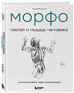 MORFO. Cilvēka skelets un muskuļi. Anatomija māksliniekiem