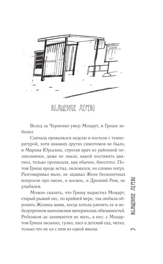 Двадцать шестой