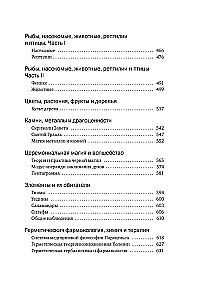 Noslēpumainās mācības: No seniem noslēpumiem līdz ceremonijai maģijai