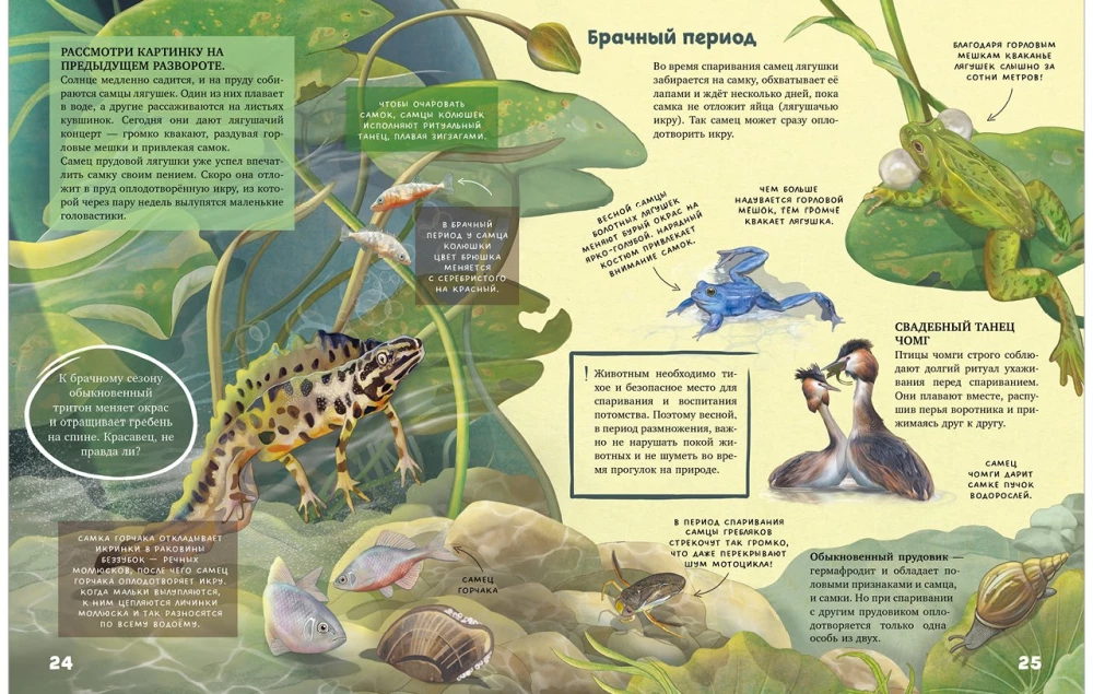 Секреты животных озера