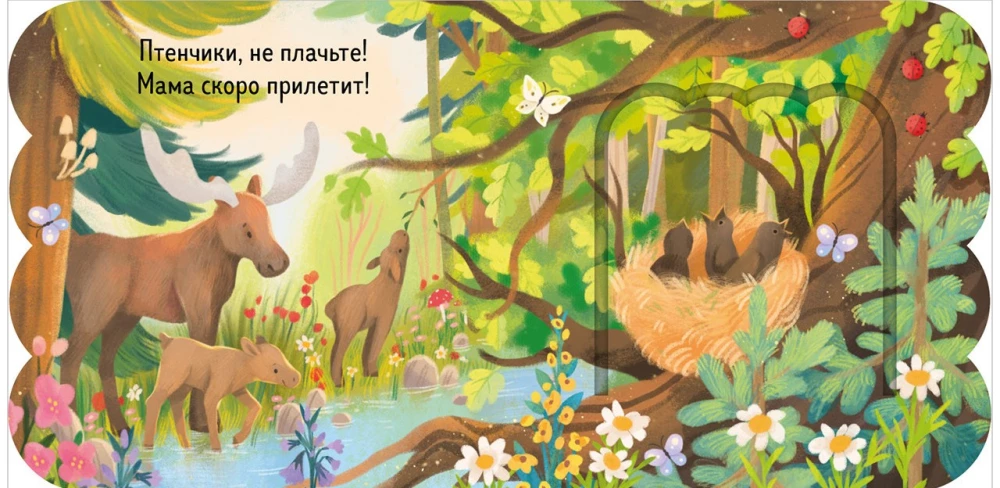 Grāmatiņa ar logiņiem. Mežs