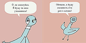 Balodis grib iegūt kucēnu