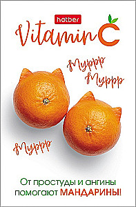Piezīmjdators uz rūtiņām, 48 lapas - Vitamin C, sortimentā