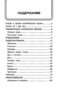 Angļu-krievu vārdnīca attēlos