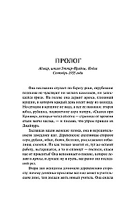 Художница из Джайпура