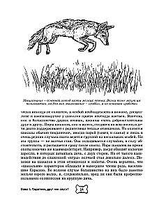 Suns. Pilna apmācības un kopšanas rokasgrāmata