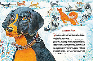 Bārdi, spalvas un astes. Krievu rakstnieku stāsti par dzīvniekiem