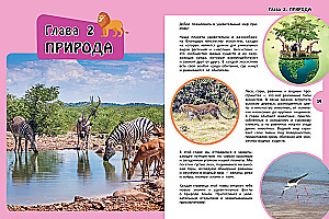 Большая книга для любознательных девчонок