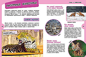 Большая книга для любознательных девчонок