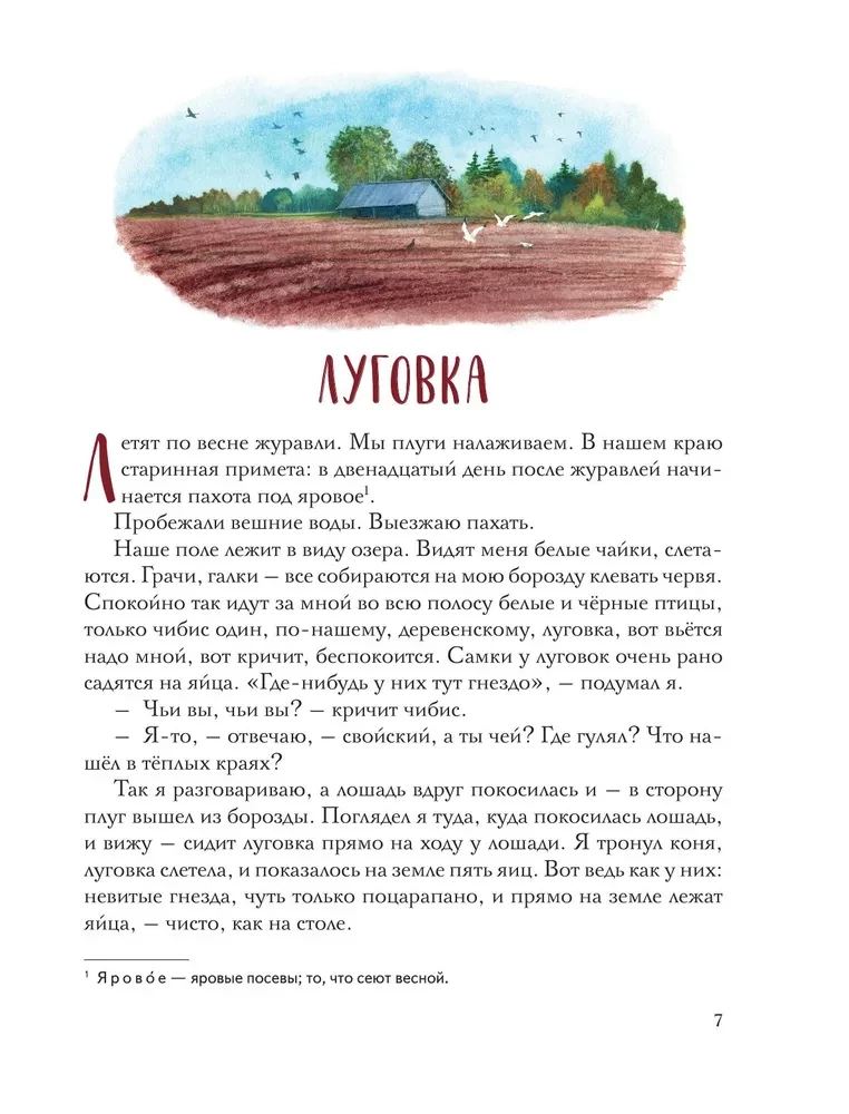 Золотой луг. Рассказы о животных