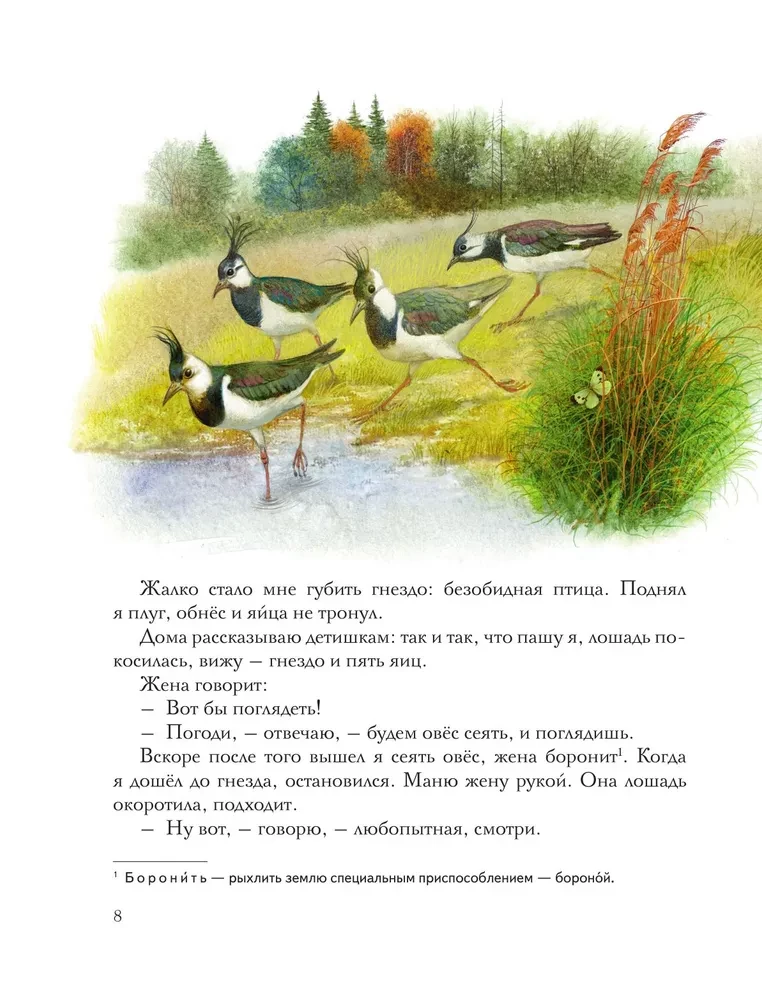 Золотой луг. Рассказы о животных