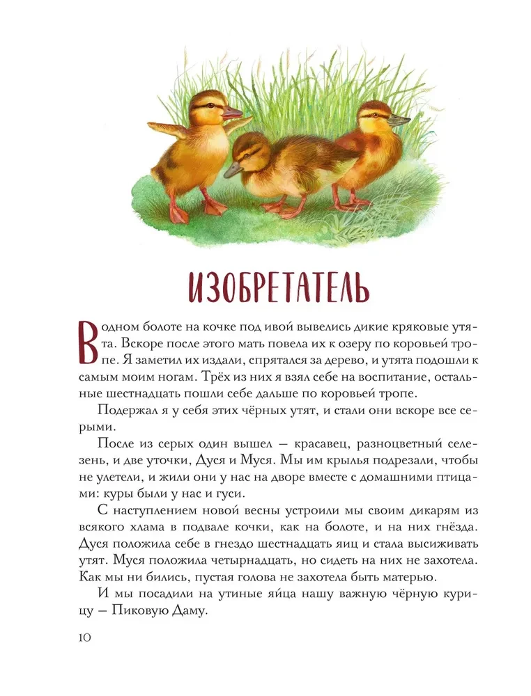 Золотой луг. Рассказы о животных