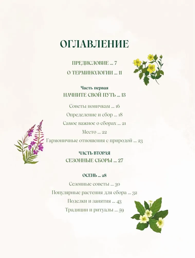Zāles. Maģiskie krājumi. Ilustrēts ceļvedis par burvju augu vākšanu un sagatavošanu, to derīgajām īpašībām un sezonālajiem rituāliem