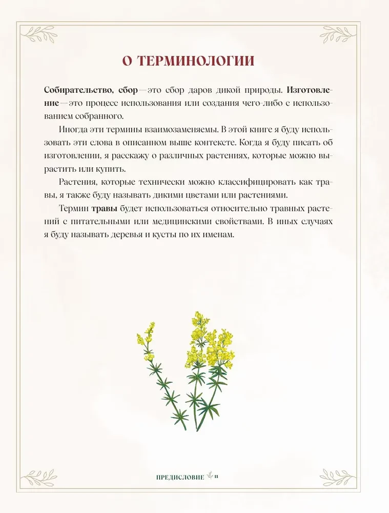Zāles. Maģiskie krājumi. Ilustrēts ceļvedis par burvju augu vākšanu un sagatavošanu, to derīgajām īpašībām un sezonālajiem rituāliem