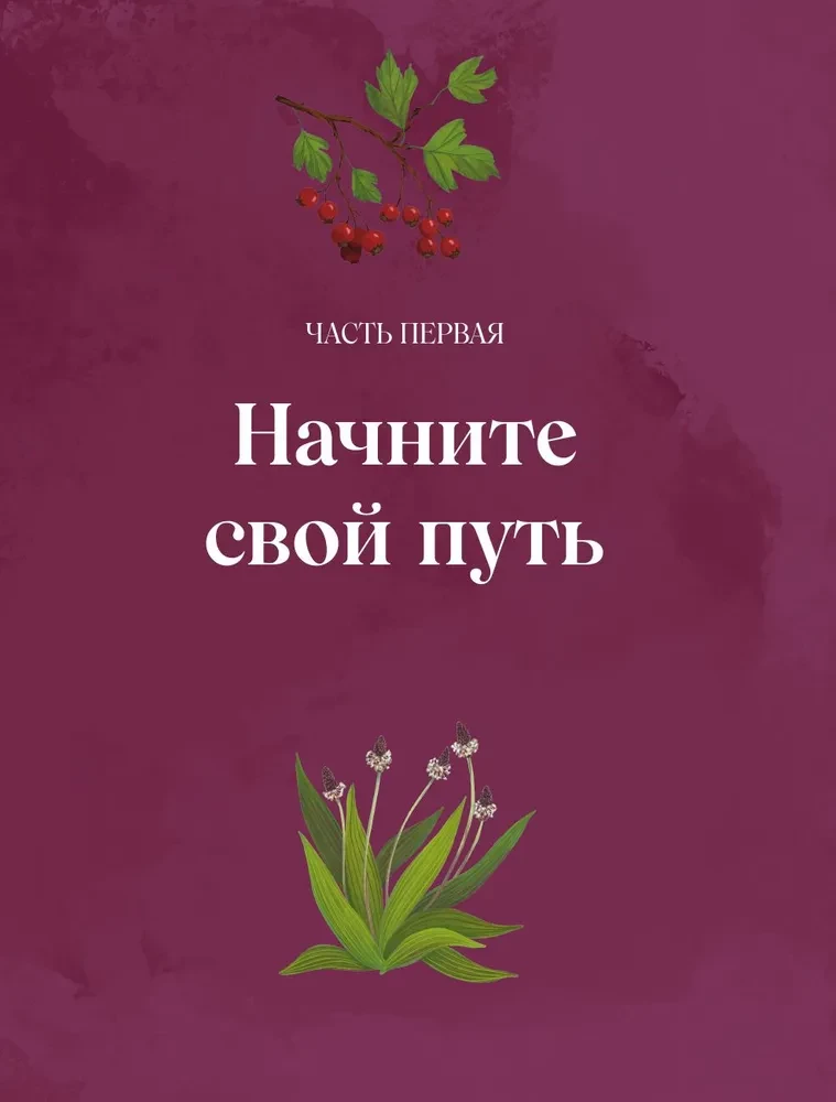 Zāles. Maģiskie krājumi. Ilustrēts ceļvedis par burvju augu vākšanu un sagatavošanu, to derīgajām īpašībām un sezonālajiem rituāliem