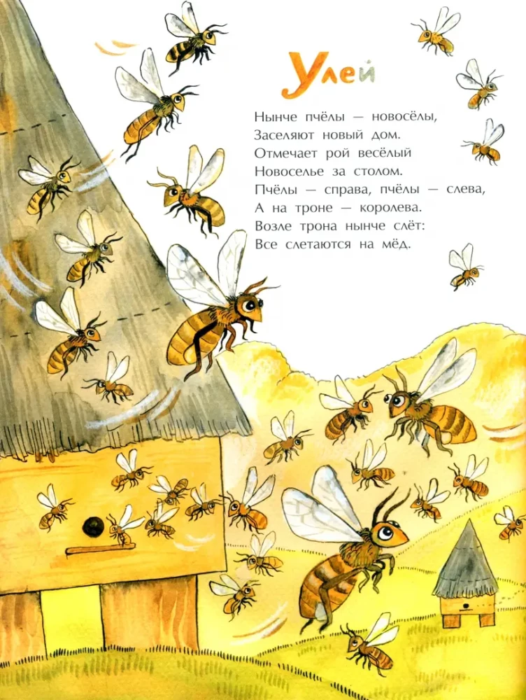 Ligzdas, caurumi un alņas