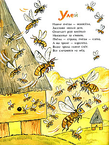 Ligzdas, caurumi un alņas