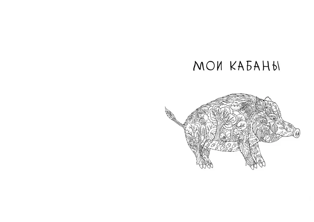 Par mežacūku, bebru un ūdenszirdziņiem