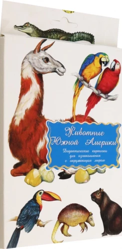 Didaktiskās kartītes - Dienvidamerikas dzīvnieki