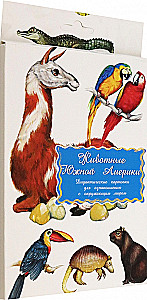 Дидактические карточки - Животные Южной Америки