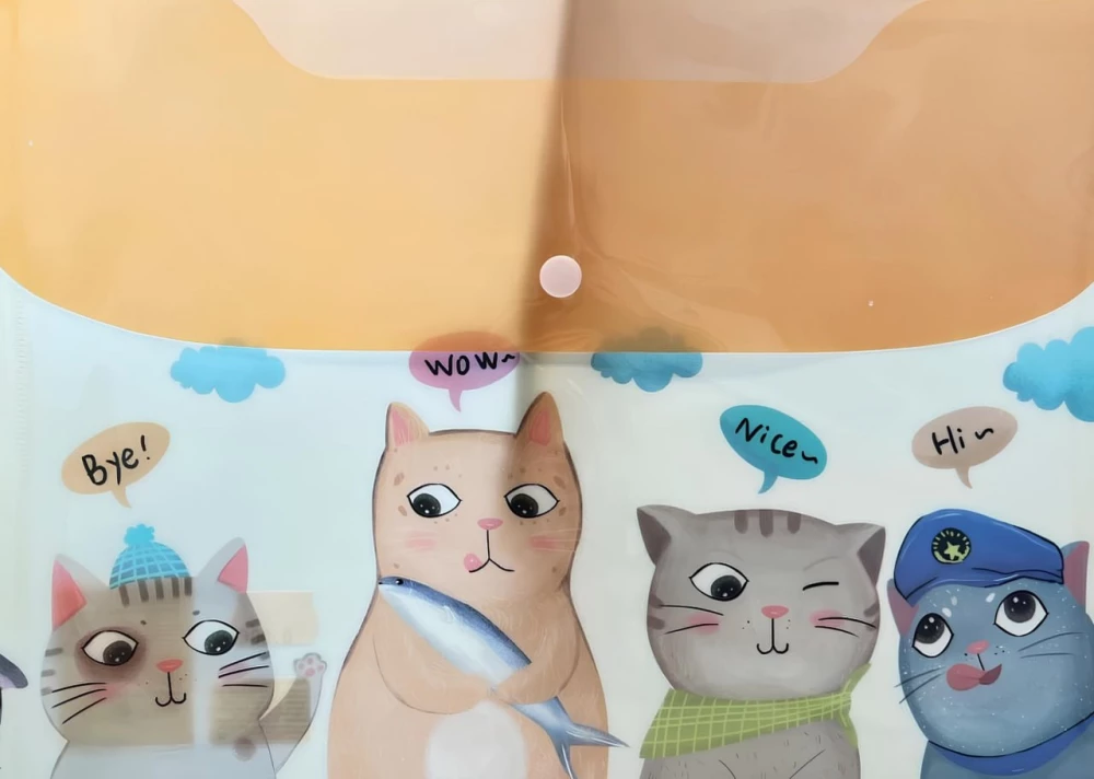 Kancelejas mapes - Kaķīši, plastmasas, ar pogu, dažādībā