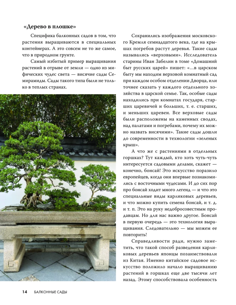 Balkonu dārzi. Personīgais terapeitiskais dārzs akmens džungļos - balkoni, terases, verandas un jumti