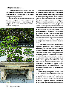 Balkonu dārzi. Personīgais terapeitiskais dārzs akmens džungļos - balkoni, terases, verandas un jumti