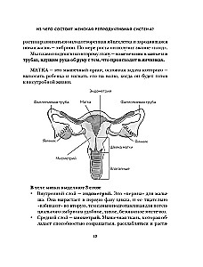 Gribu būt vesela. Sievietēm par normām, sāpēm, slimībām, ārstēšanu, hormoniem un daudz ko citu