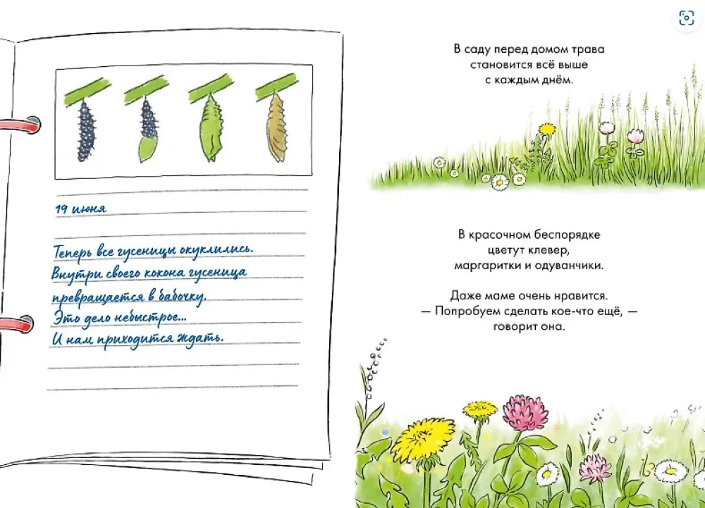 Комиксы с Конни. Дневник гусеницы
