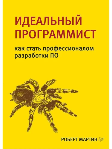 Ideāls programmētājs. Kā kļūt par profesionālu programmatūras izstrādē