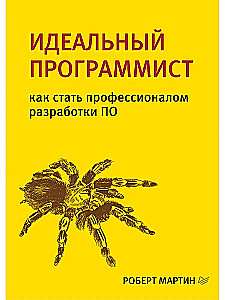 Ideāls programmētājs. Kā kļūt par profesionālu programmatūras izstrādē